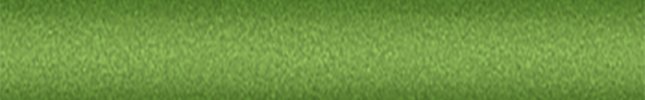 FI341:12 (Verde Energetico) 341, 341/B
