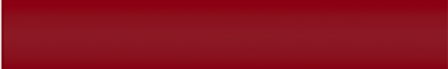 NISJWN (Palma Red) JWN