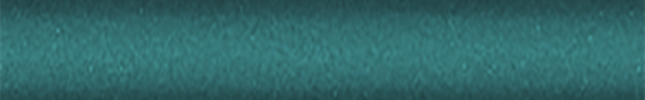 NISFM2 (Turquise) FM2