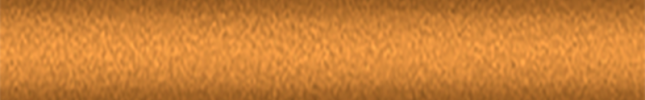 NISA55 (Orange) A55, BA55