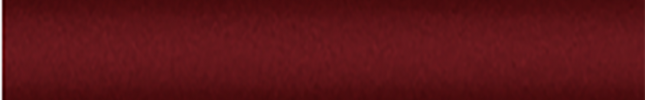 NISAX2 (New Red) AX2