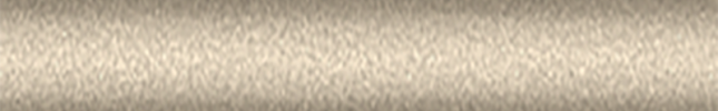 NISEM0 (Light Gold) EM0