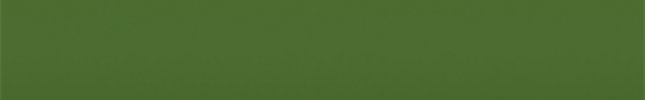 TOY60001 (Lime) 4728, F4