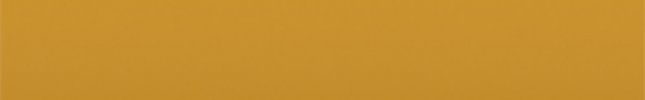 RENP (Jaune Sport) ENP