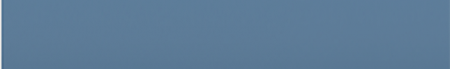 NISB19 (Blue) B19, PB2