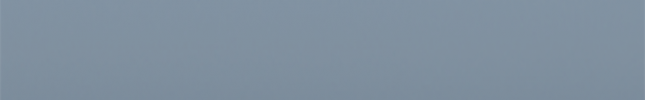 NISB35 (Bluish Gray) B35