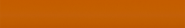 NIS2000 (Orange) 031, Z48, Z48B