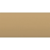 NIS451 (Gold) 451
