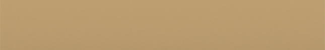 NIS451 (Gold) 451