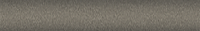 NISCAP (Bronze) BCAP, CAP