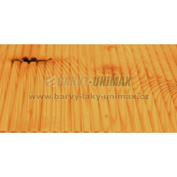 pinie 0061