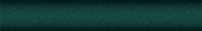 P9132 (Vert Vega) ERY