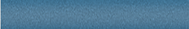 NISB55 (Blue) B55