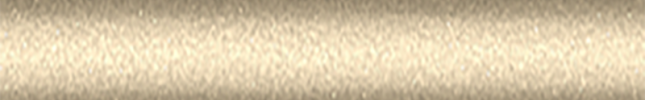 NISE12 (Lt.Gold) E12