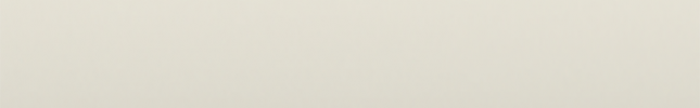 NIS4006 (White) NIS4006