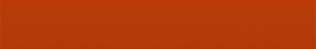 FRD2008 (TNT Tango Orange) STS