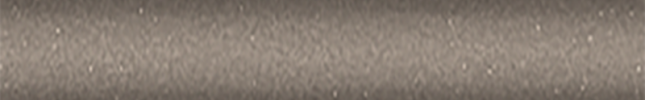 NISCV1 (Taupe) CV1
