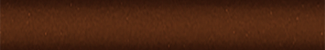 NISCT2 (Chocolate Brown) CT2
