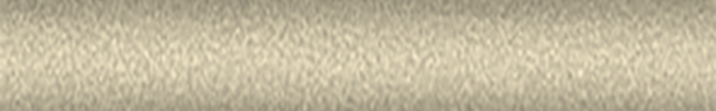 NIS9805 (Gold) 242