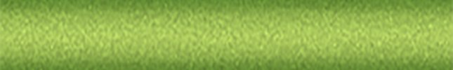 SUZZPV (Shiny Green) ZPV